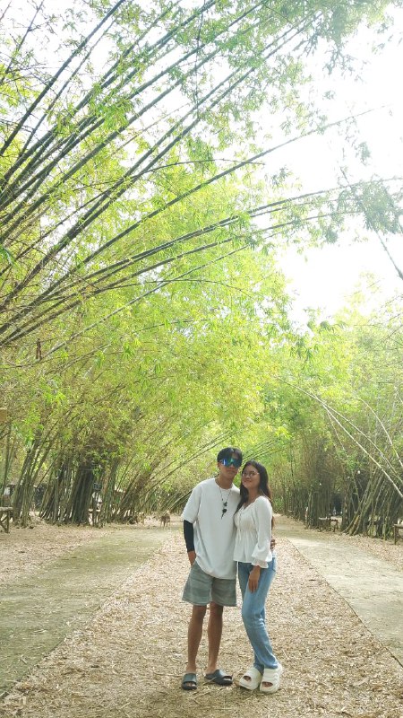 Bamboo 9